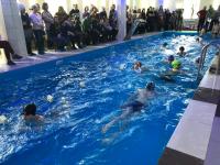 Соревнование по плаванию в бассейне «Праздник на воде»