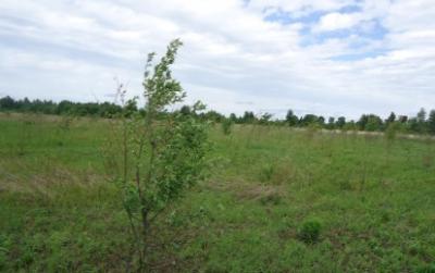 Контроль за использованием земель сельскохозяйственного назначения, находящихся в собственности юридических и физических лиц, на территории Ивановской области 